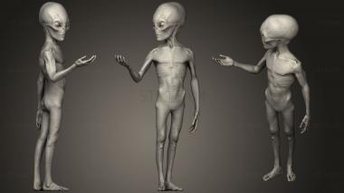 3D model Grey Alien (STL)